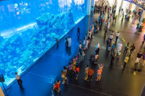 dubai mall