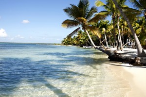 mta_dominican