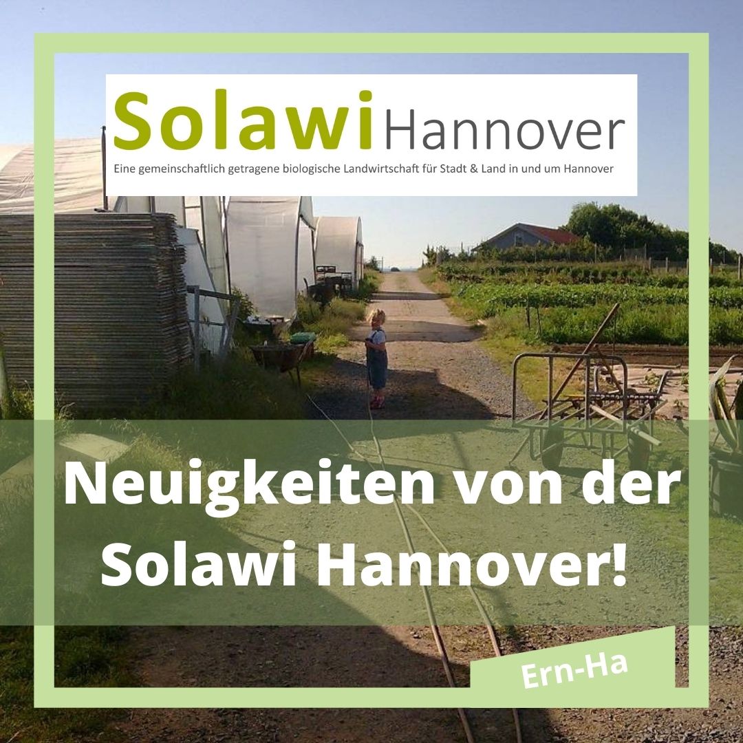 Neuigkeiten von der Solawi Hannover