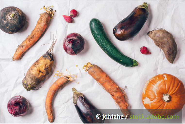 Pressemitteilung für Wende in der Ernährungspolitik