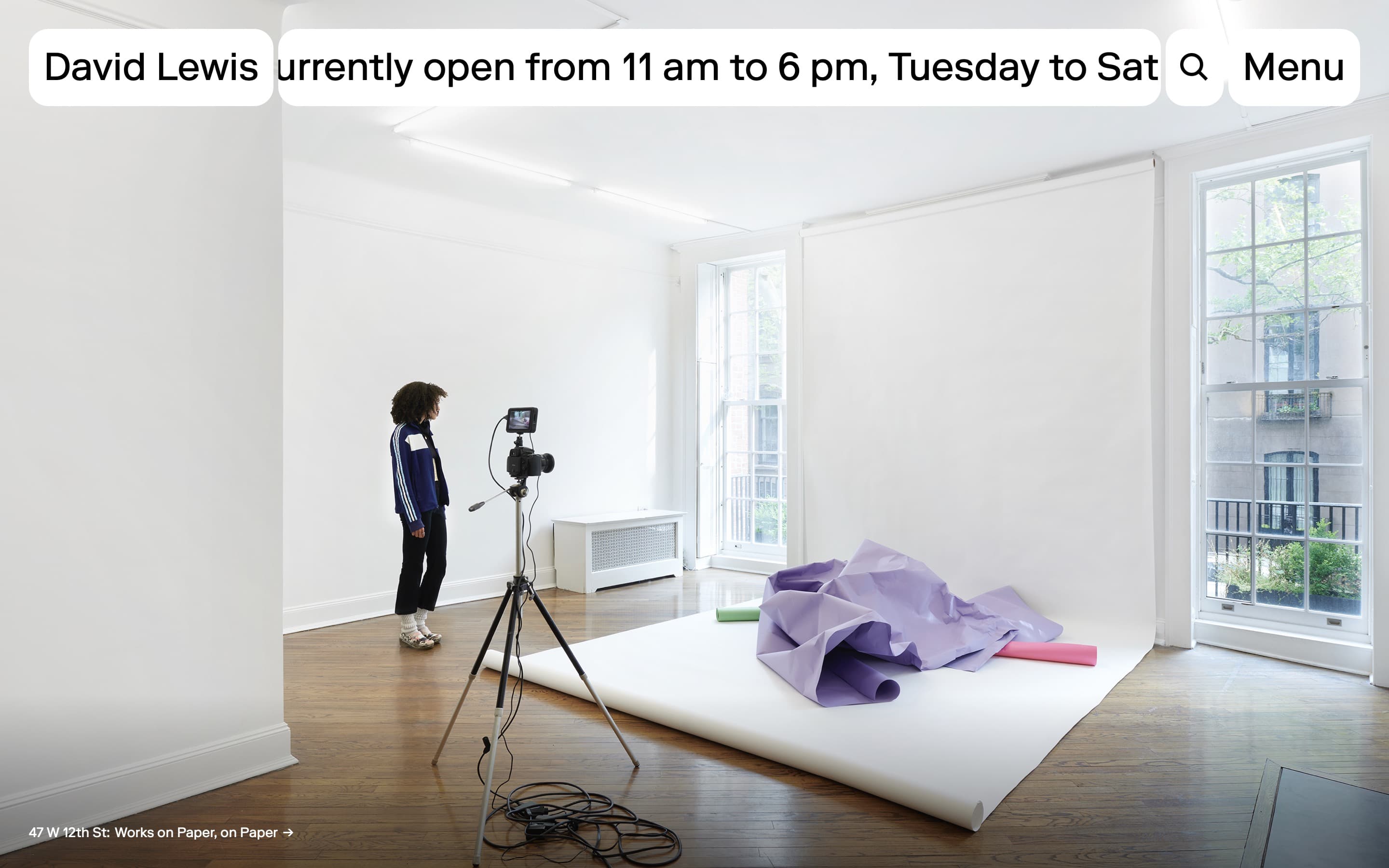 Homepage on the David Lewis Gallery website, designed by Lovably.