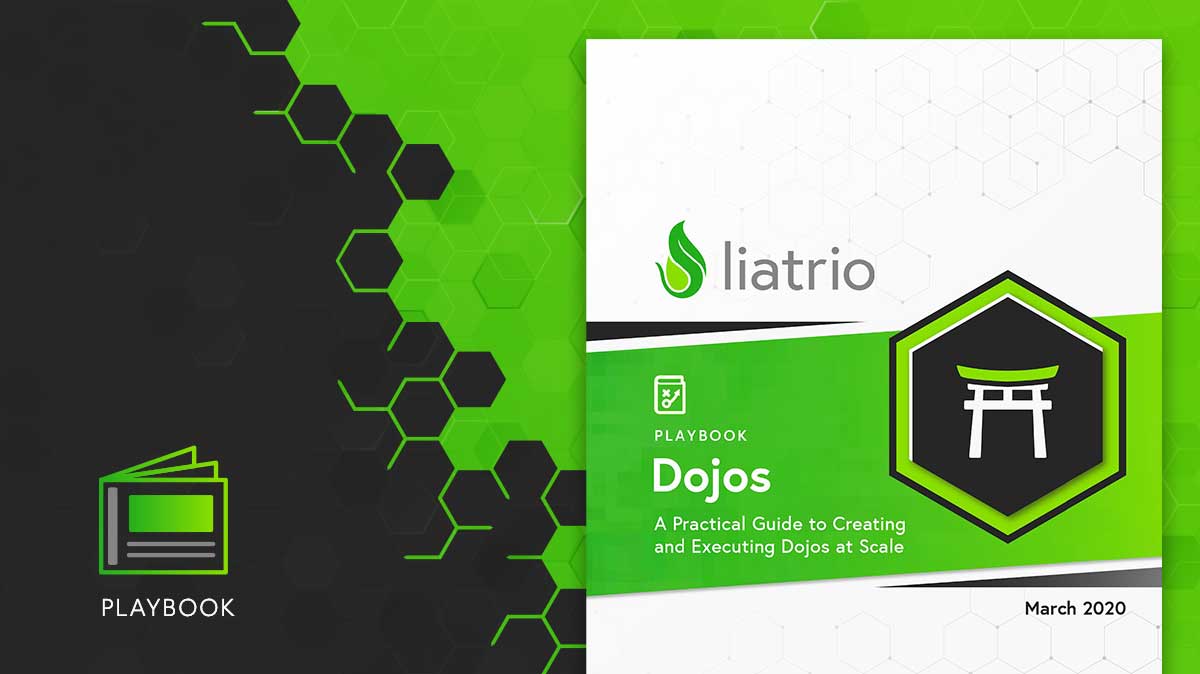 A thumbnail image of the DevOps Dojos playbook.