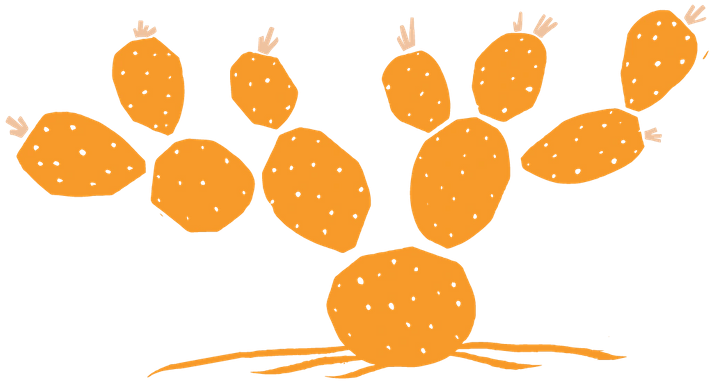 Searching for the Best Mexican Food in Austin? Check Out ...