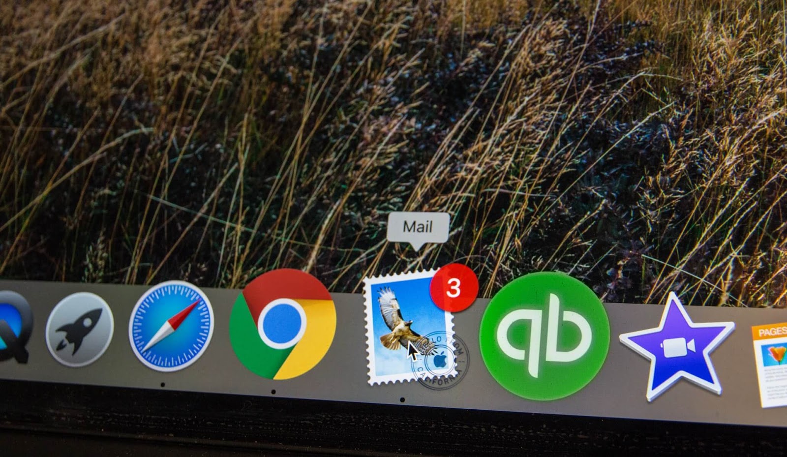 email marketing local business