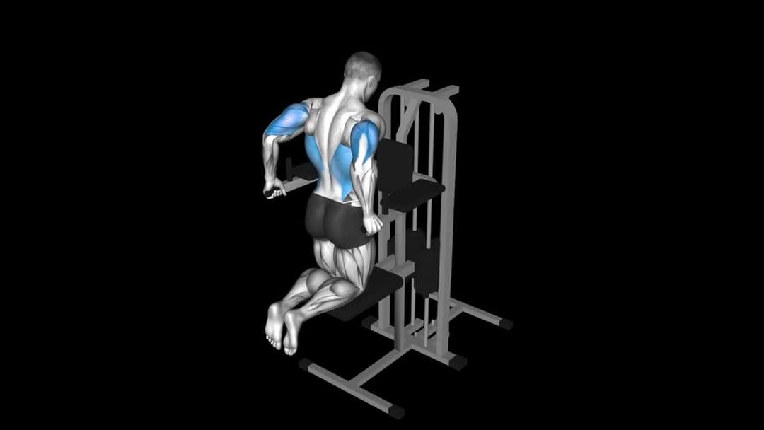 Chest Dip How To Video, Alternatives & More