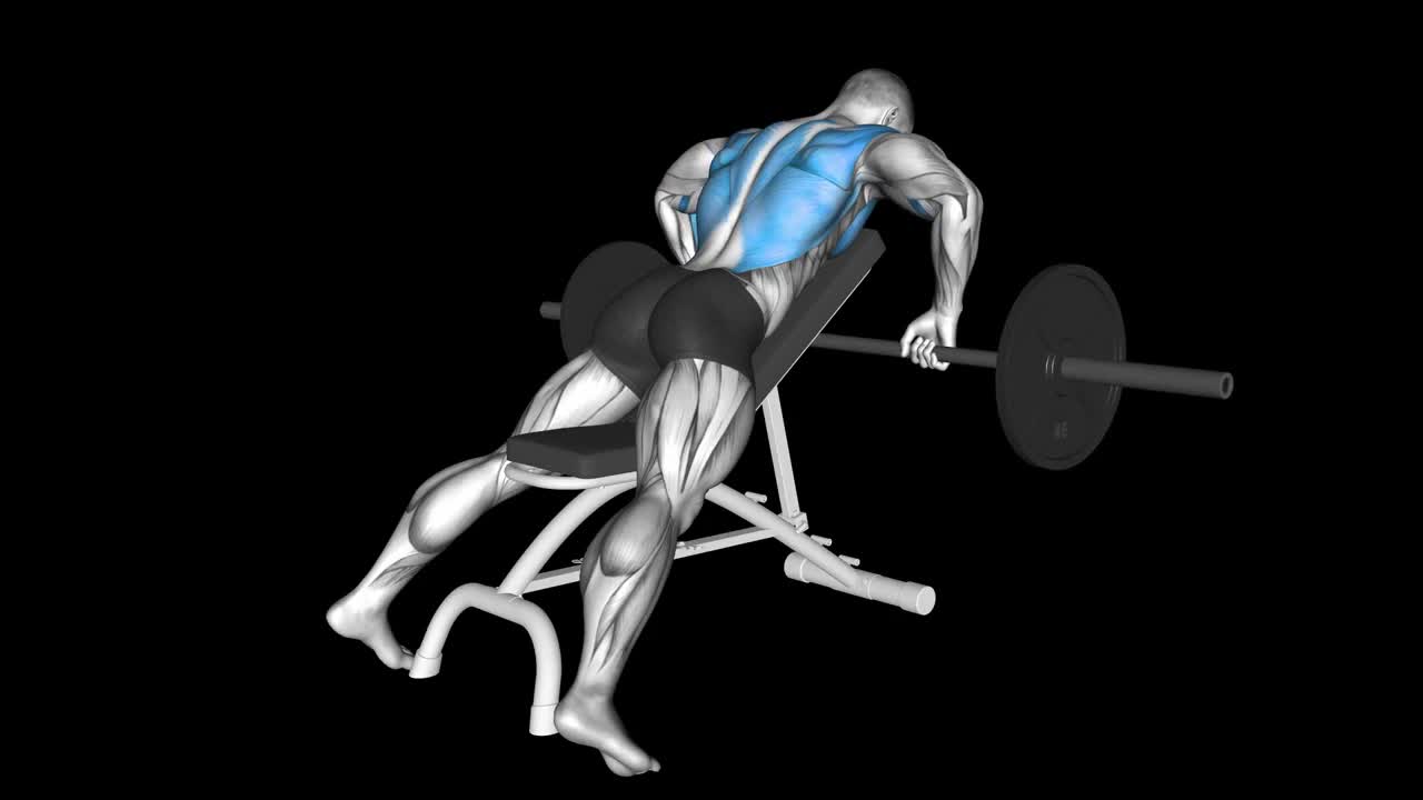 Incline Barbell Row How To Video, Alternatives & More