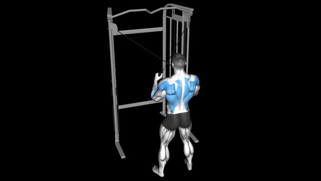 VBar Lat Pulldown How To Video, Alternatives & More