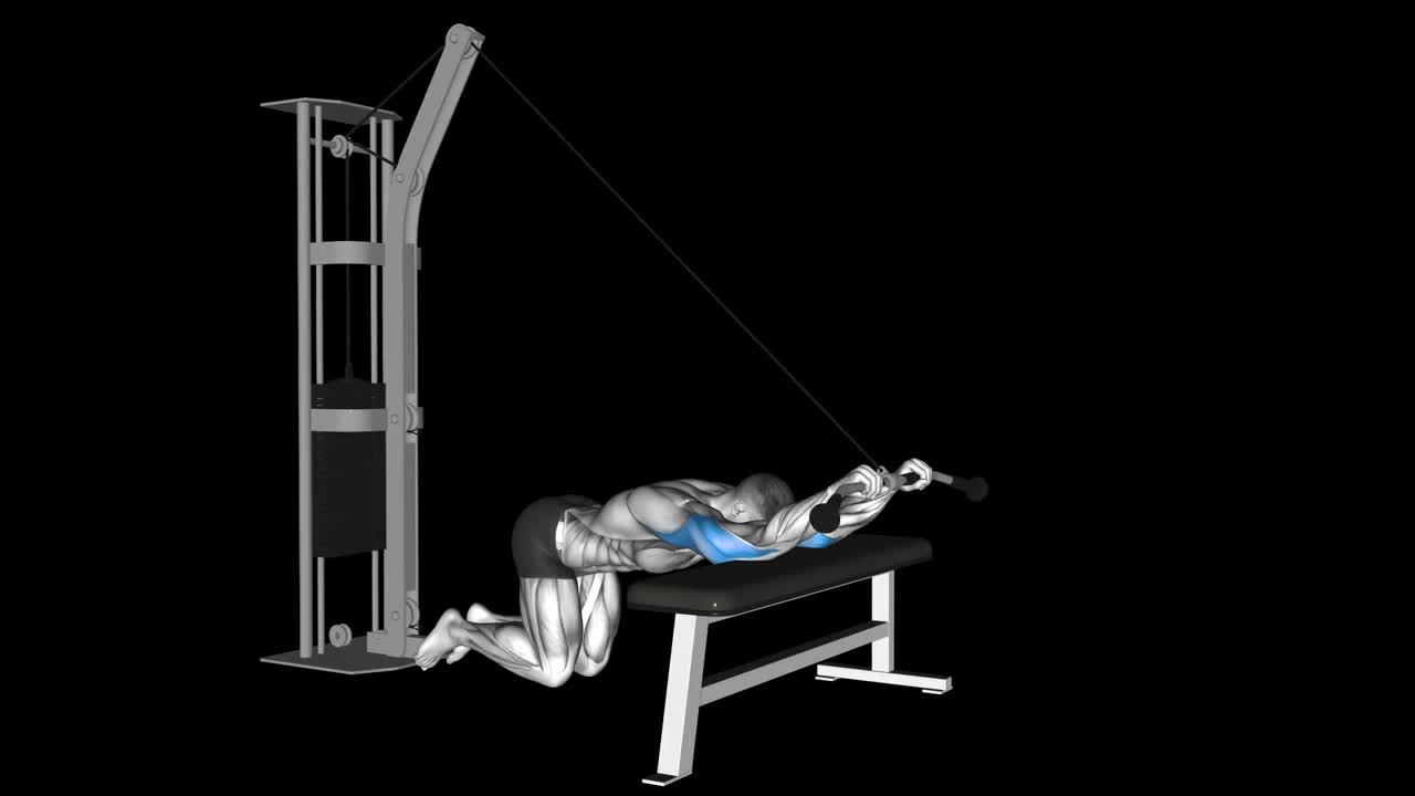Overhead Rope Tricep Extension How To Video, Alternatives & More