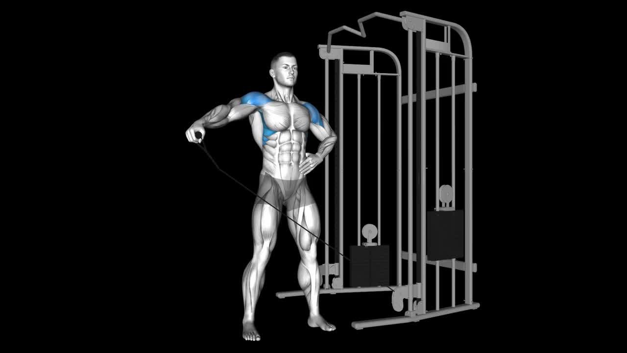 One Arm Cable Lateral Raise How To Video, Alternatives & More