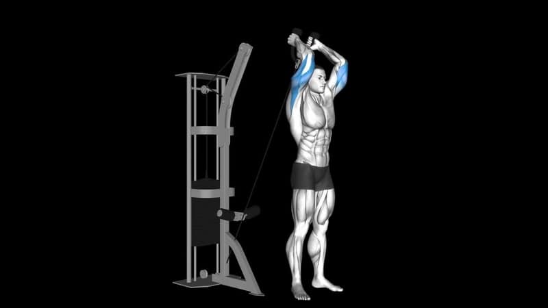 Overhead Rope Tricep Extension – How To Video, Alternatives & More