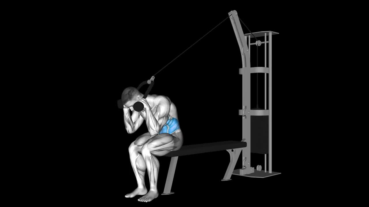 Kneeling Cable Crunch How To Video, Alternatives & More