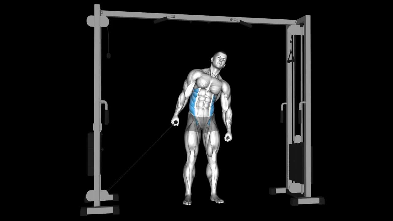 Cable Side Bend How To Video, Alternatives & More