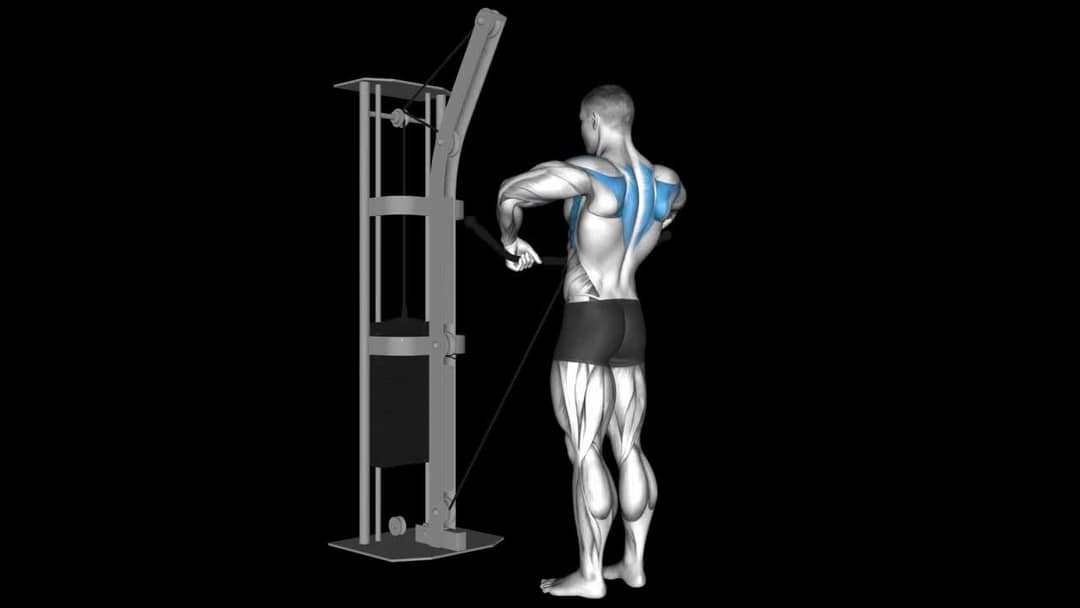 One Arm Cable Lateral Raise How To Video, Alternatives & More