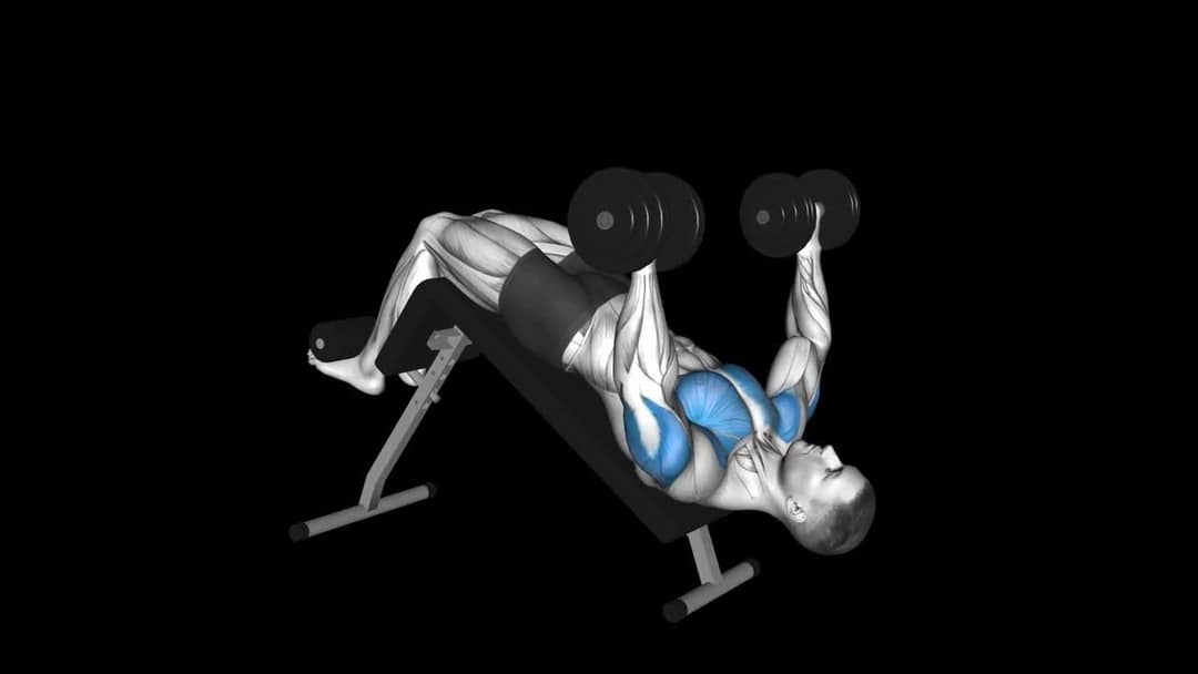 Cable Chest Press – How To Video, Alternatives & More