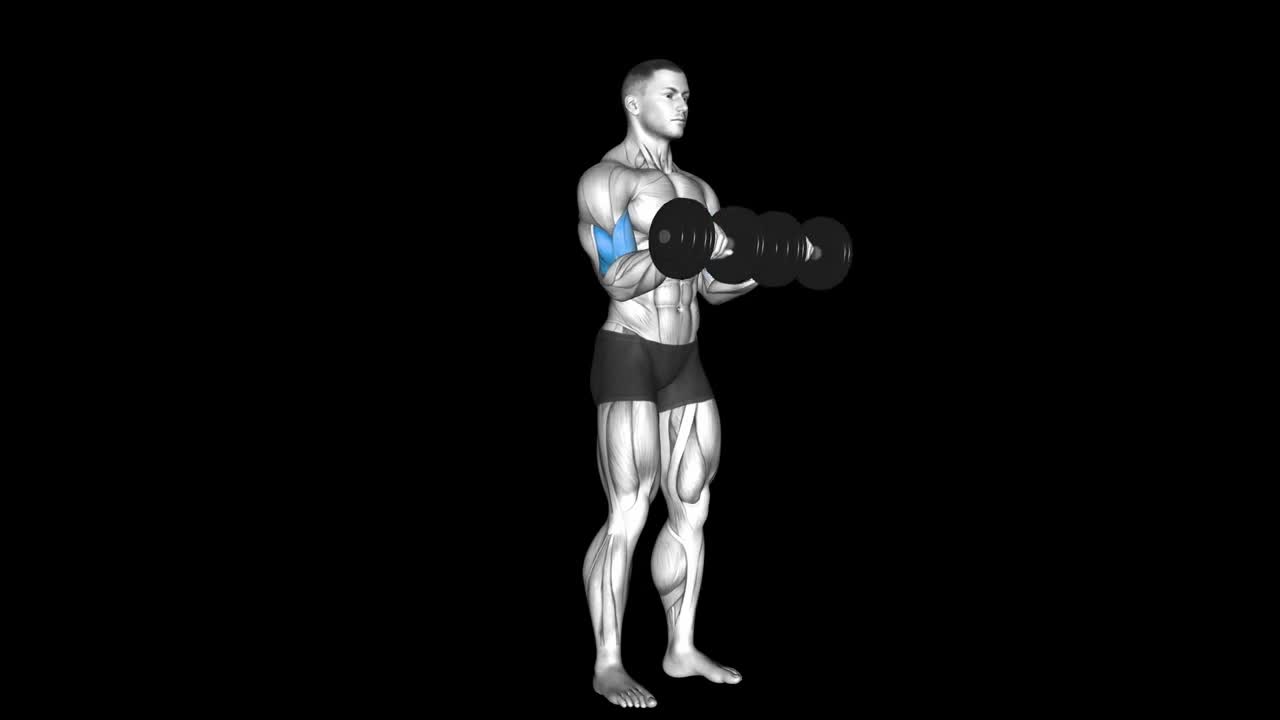 Hammer Curl How To Video, Alternatives & More
