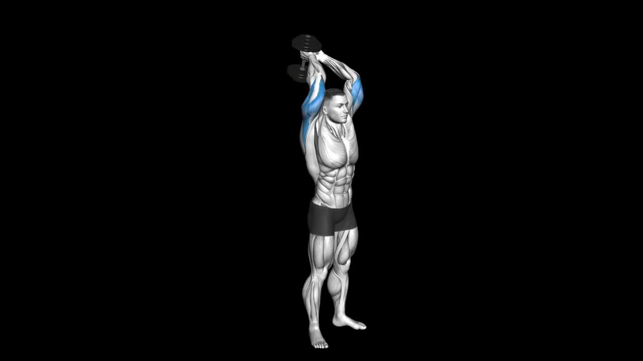 Lying Dumbbell Tricep Extension How To Video, Alternatives & More