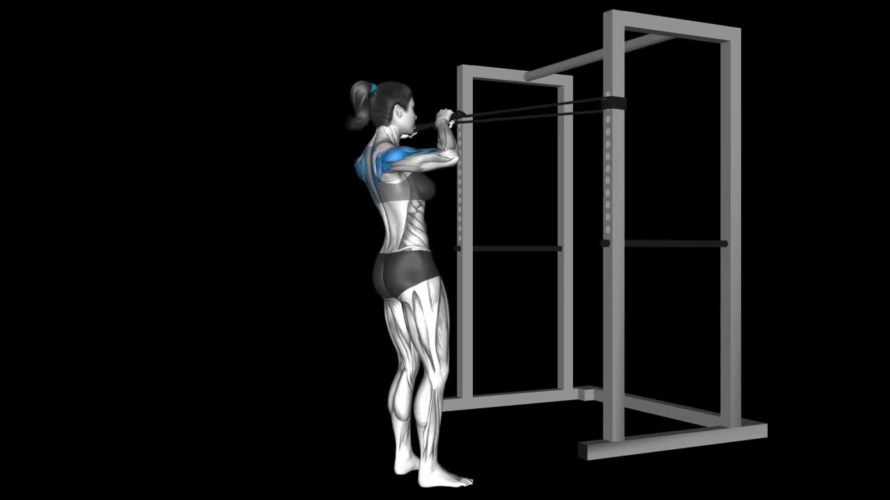 Rope Face Pull How To Video, Alternatives & More