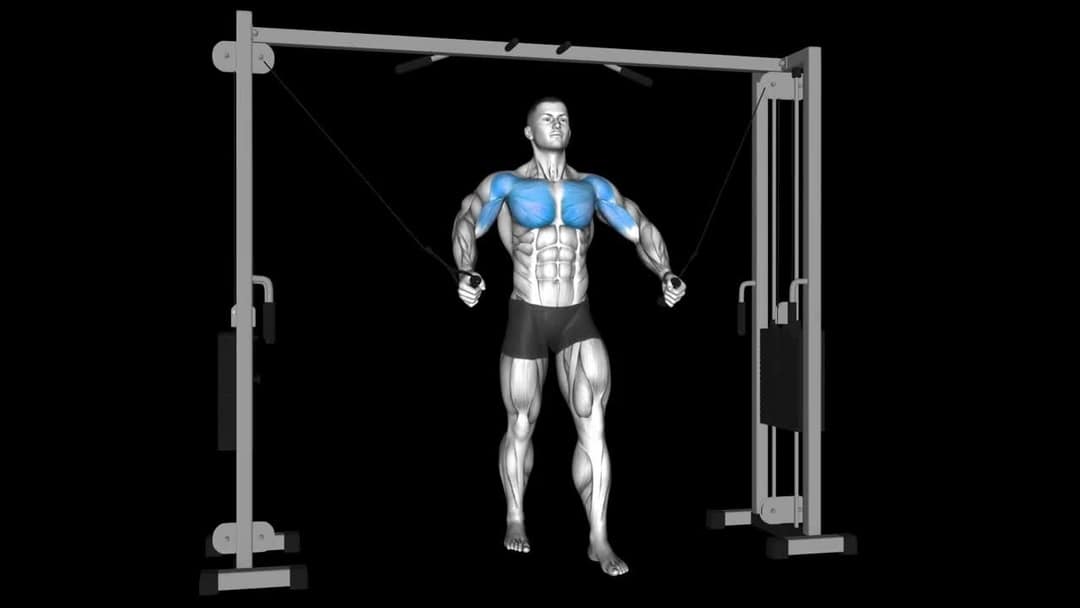 Cable Chest Press – How To Video, Alternatives & More
