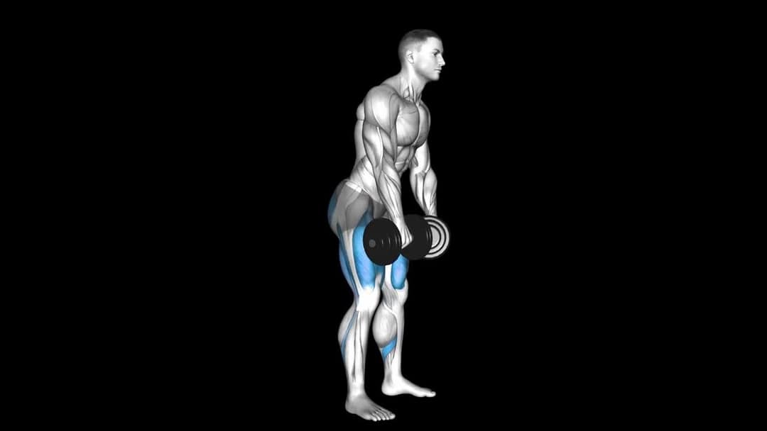 Dumbbell Romanian Deadlift – How To Video, Alternatives & More