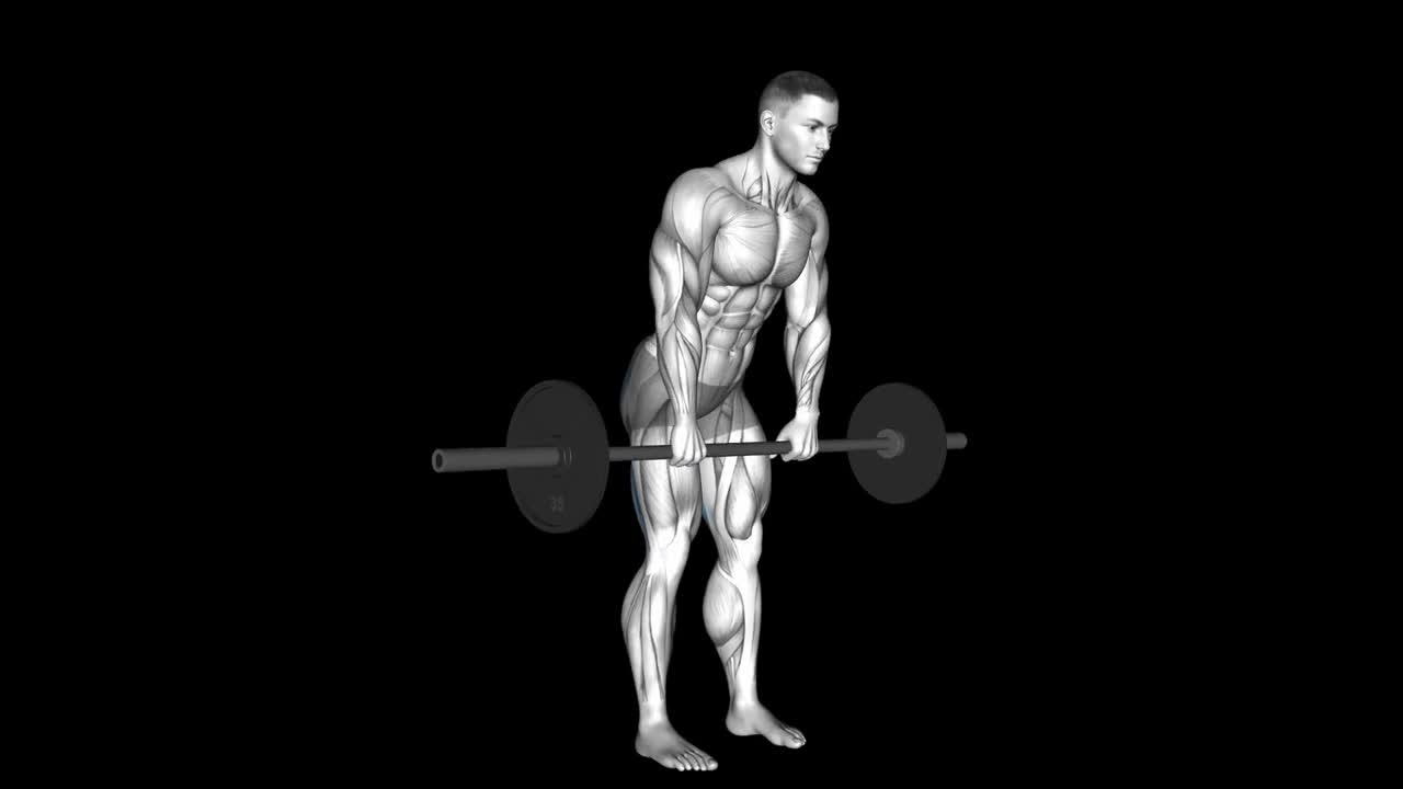 Dumbbell Stiff Legged Deadlift How To Video, Alternatives & More