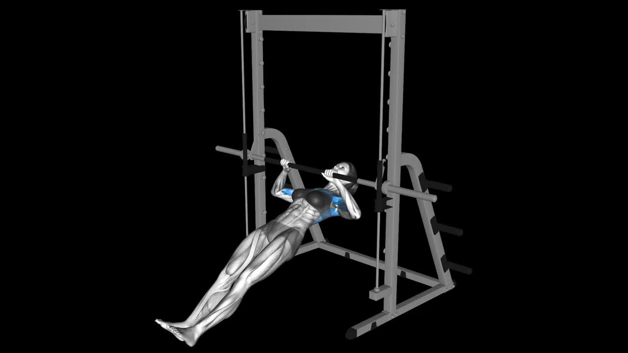 Chair Inverted Row How To Video, Alternatives & More