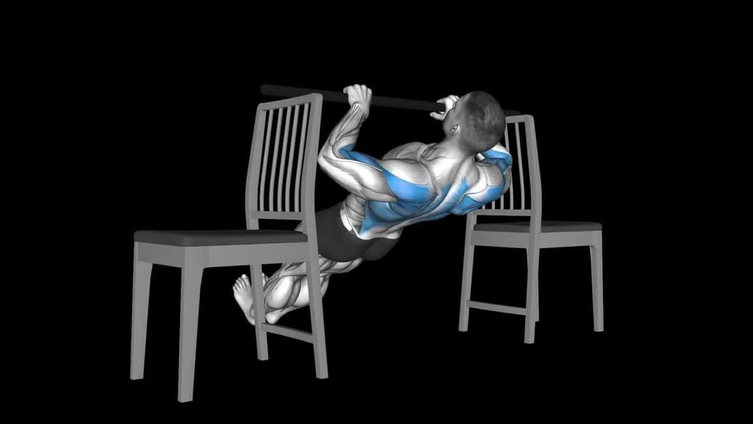 Chair Inverted Row How To Video, Alternatives & More