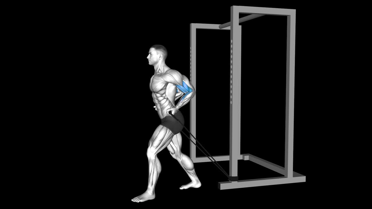 Cable Rope Curl How To Video, Alternatives & More