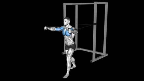 Band Chest Fly – How To Video, Alternatives & More