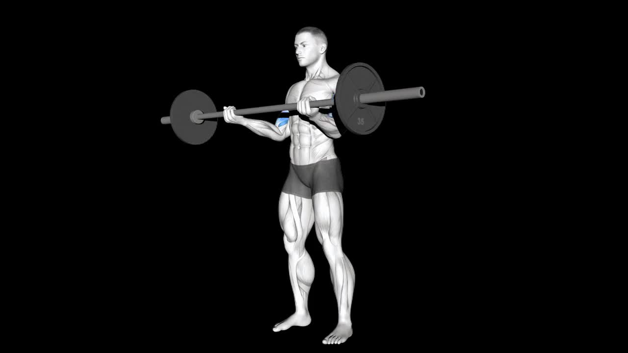 Barbell Curl How To Video, Alternatives & More