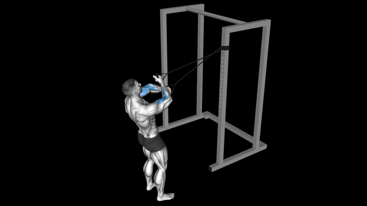 Cable Rope Curl How To Video, Alternatives & More