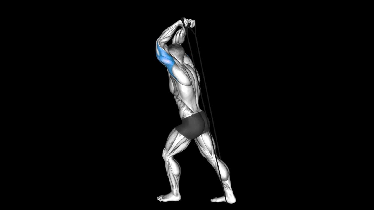 Overhead Rope Tricep Extension How To Video, Alternatives & More