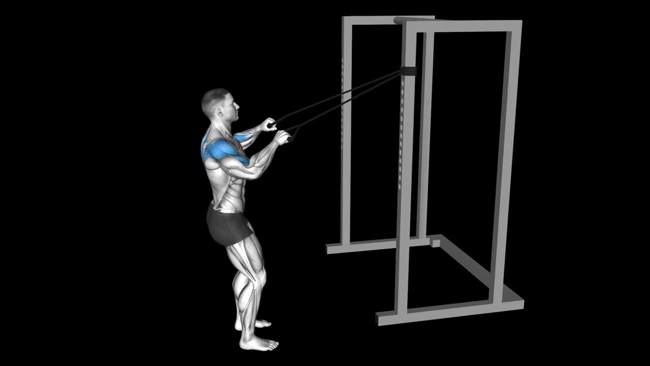 Close Grip Band Row – How To Video, Alternatives & More