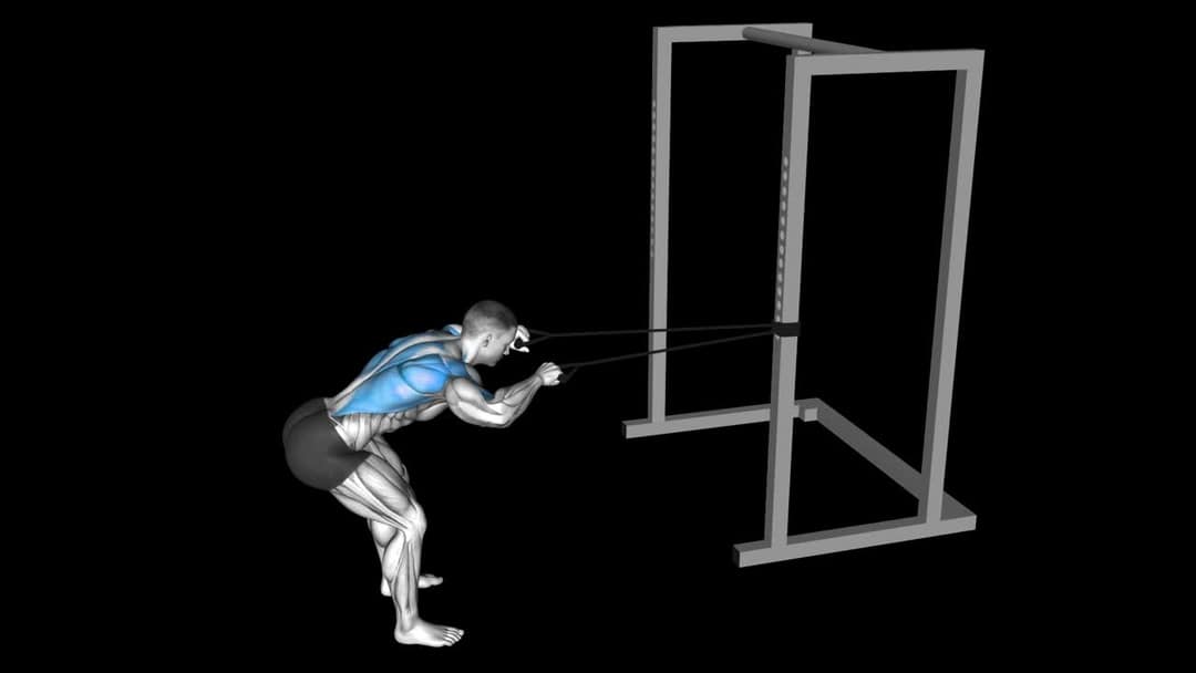 VBar Lat Pulldown How To Video, Alternatives & More
