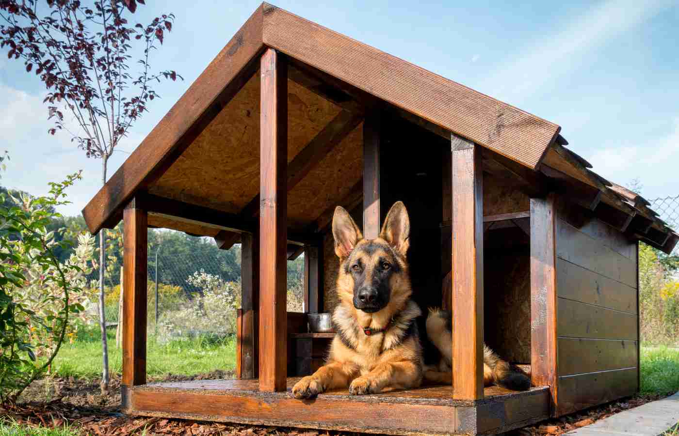 best dog house for dogs that chew