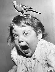  actual pic of me + bird