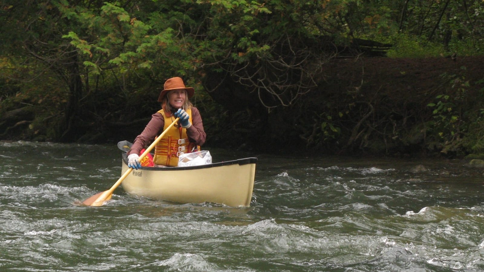 Canoe Rentals Michigan Pine River Manistee River