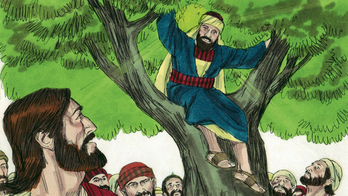 Zaccaeus on a tree