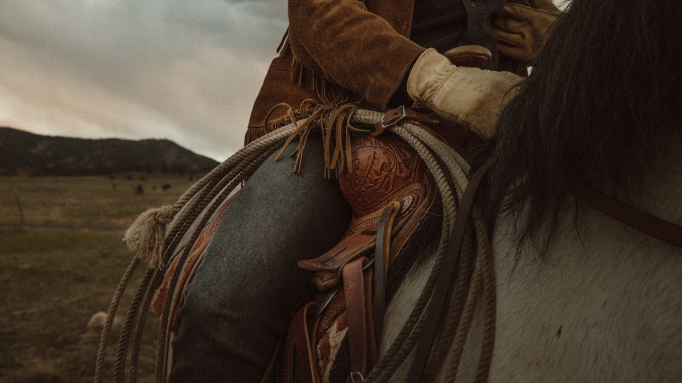 Cowboy on a horse