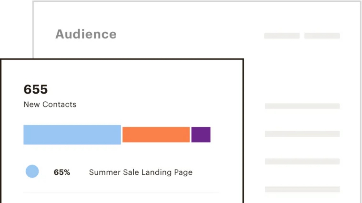 Mailchimp gives you insights and analytics