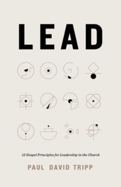 Lead book cover