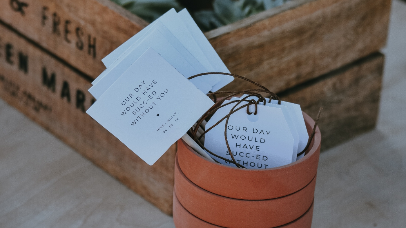Small plant gift