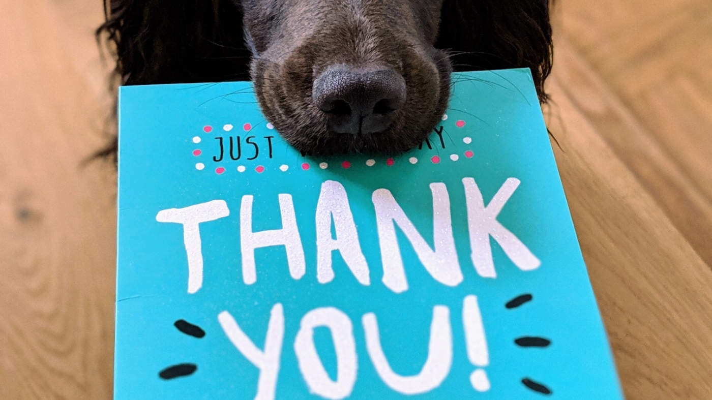 Dog holding thank you card