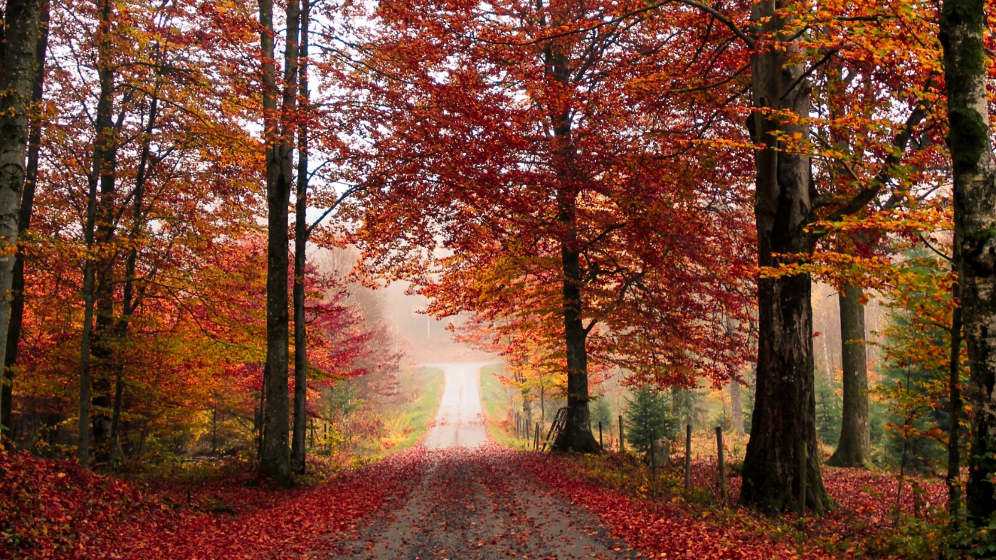 Fall in October