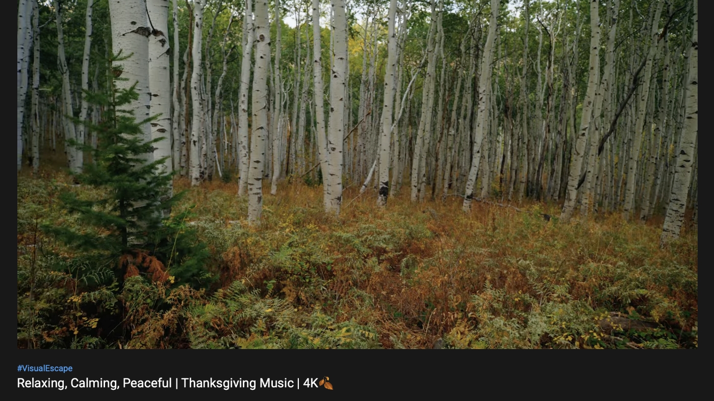 Relaxing thanksgiving music video