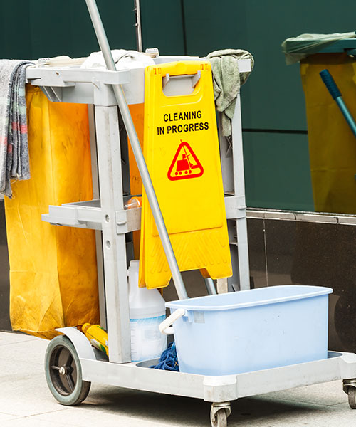 Carpet cleaning in Metro Detroit, MI
