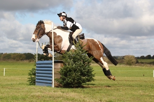 Calmeden Events Horse Trials