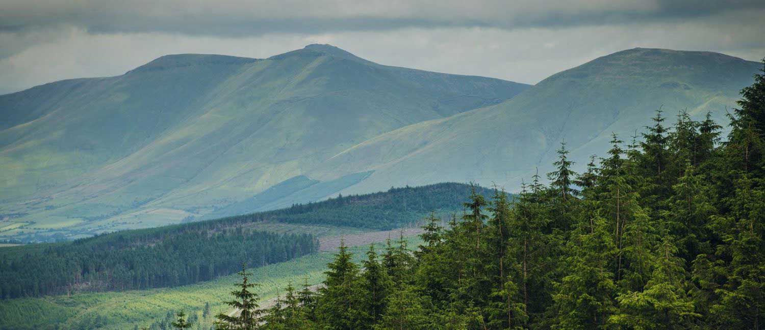 About Ballyhoura Mountains ↠ Ballyhoura Luxury Hostel