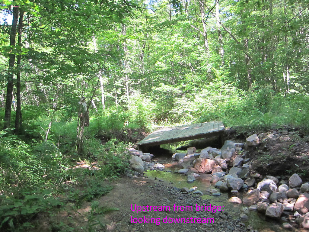 May 2016 deluge damaged this bridge on the Blue Hills Trail