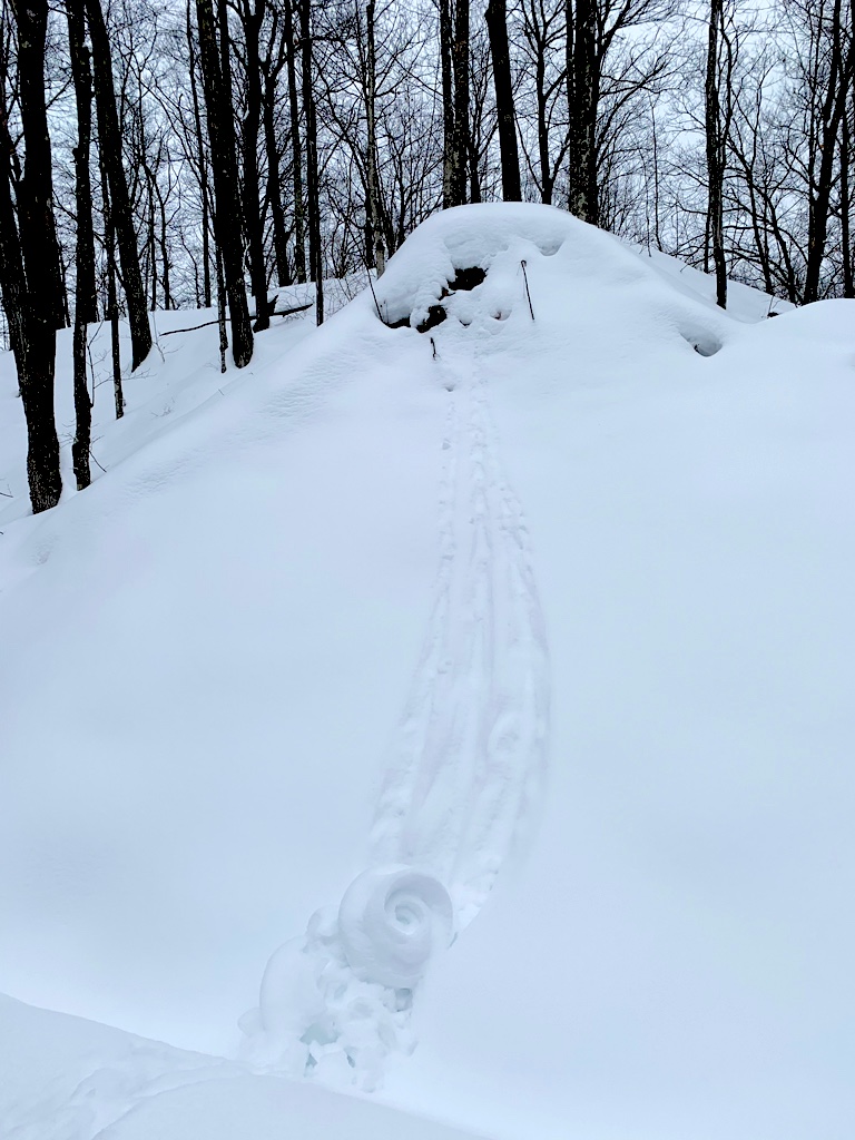 photo of snow roller adjacent to the ski trail