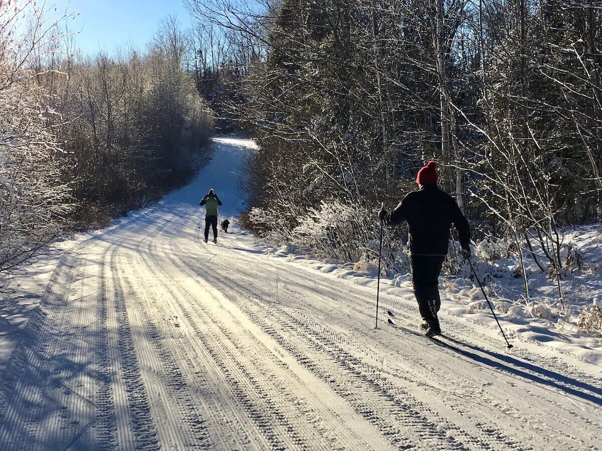 Skiing with your dog on Excelsior Road on Christmas Day